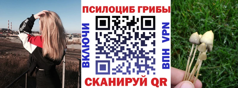 Псилоцибиновые грибы Cubensis  купить   Черноголовка 